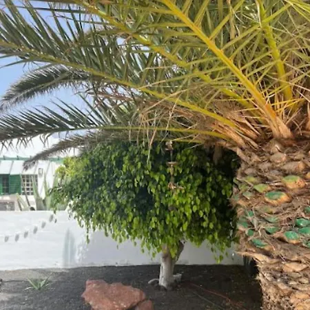 Studio In Playa Blanca (Lanzarote)